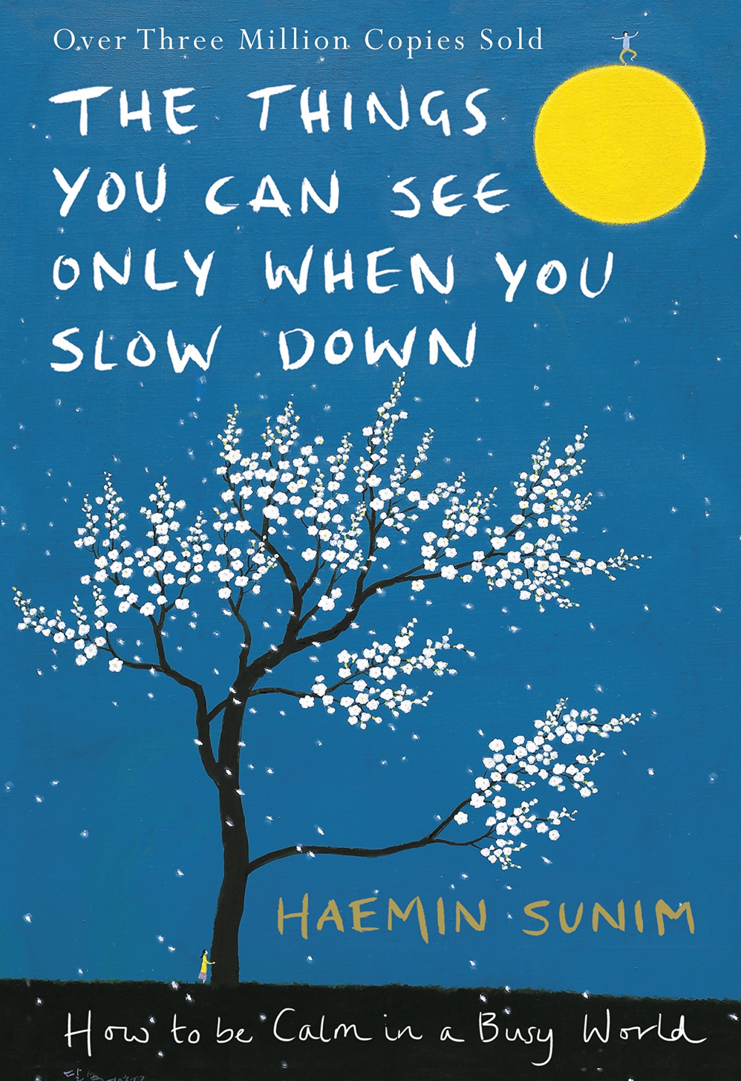 The Things You Can See Only When You Slow Down: How to Be Calm in a Busy World